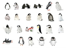 Load image into Gallery viewer, Mo•Card Sticker Box- Little Penguin
