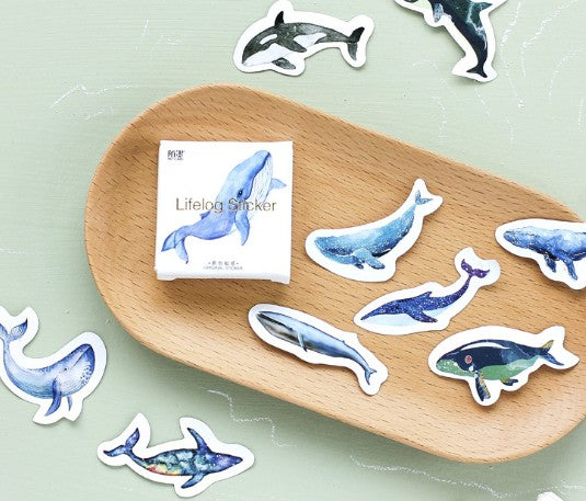 Mo•Card Paper Label Sticker Box - Little Whale [45 stickers]