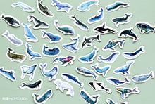 Load image into Gallery viewer, Mo•Card Paper Label Sticker Box - Little Whale [45 stickers]
