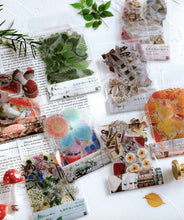 Load image into Gallery viewer, Mo•Card Sticker Sack- Mushrooms
