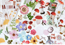 Load image into Gallery viewer, Mo•Card Sticker Sack- Afternoon Flower House
