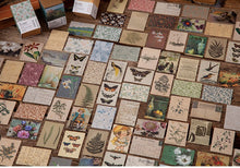Load image into Gallery viewer, Kawaii Mini Card Set- Vintage Littles!
