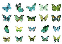 Load image into Gallery viewer, Candy Poetry Butterfly Sticker Sacks
