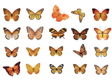Load image into Gallery viewer, Candy Poetry Butterfly Sticker Sacks
