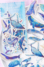 Load image into Gallery viewer, Mo•Card Sticker Sack Lonely Whale
