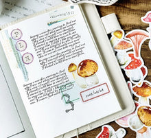 Load image into Gallery viewer, Mo•Card Paper Sticker Box- Many Mushrooms
