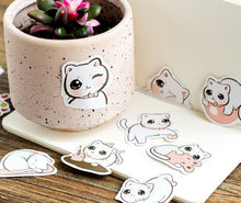 Load image into Gallery viewer, Sticker Box- Big Eyed Cat
